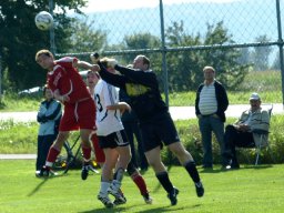 2010 Sulzkirchen